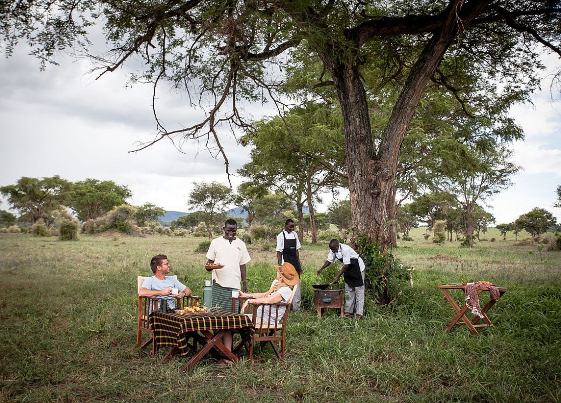 Cedarberg Travel | Apoka Safari Lodge