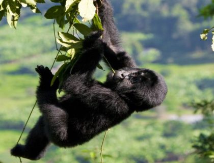 Remarkable Western Uganda