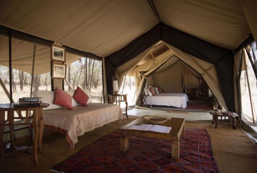 Tented Suites