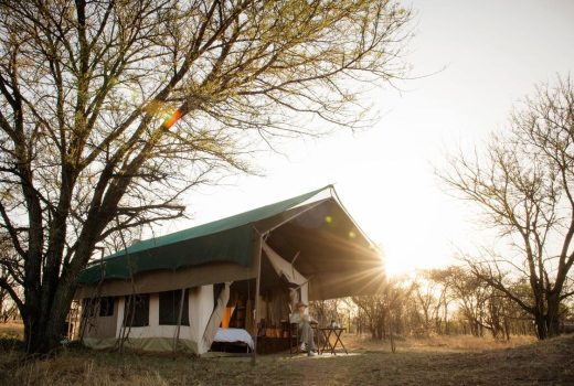 Traditional Safari Tents