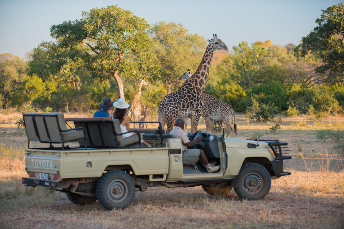 Cedarberg Travel | Robin's House