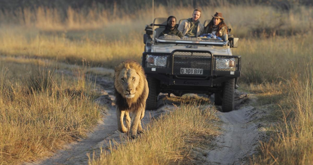 Cedarberg Travel | Footsteps Camp