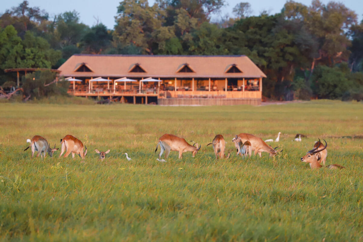 Cedarberg Travel | Kanana Camp