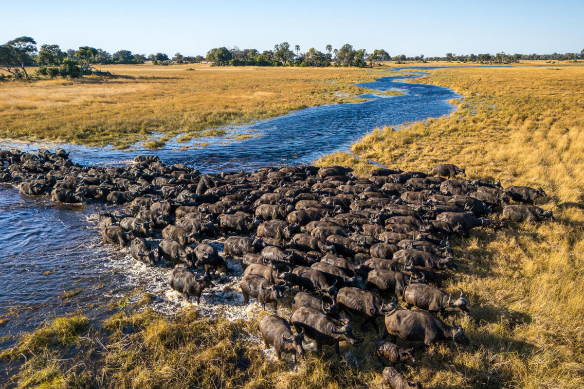 Cedarberg Travel | Kanana Camp