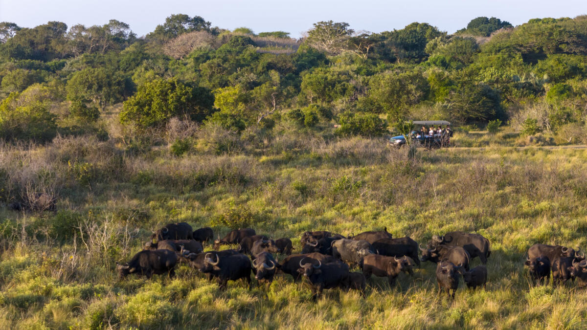 Cedarberg Travel | Makakatana Bay Lodge
