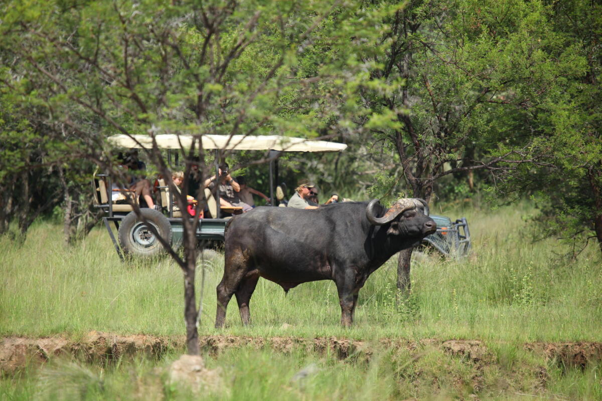 Cedarberg Travel | Ant's Nest