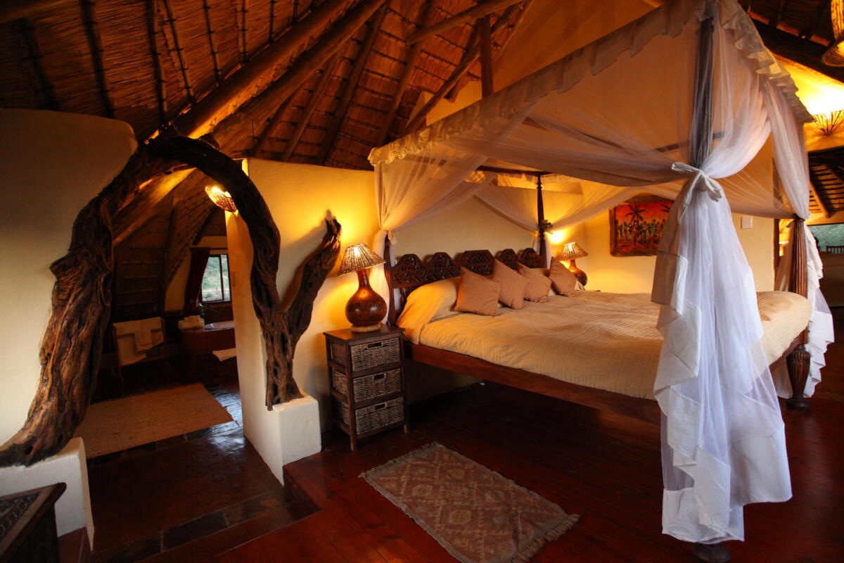 Cedarberg Travel | Ant's Nest