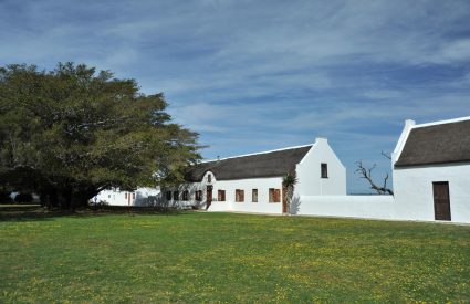 De Hoop Collection