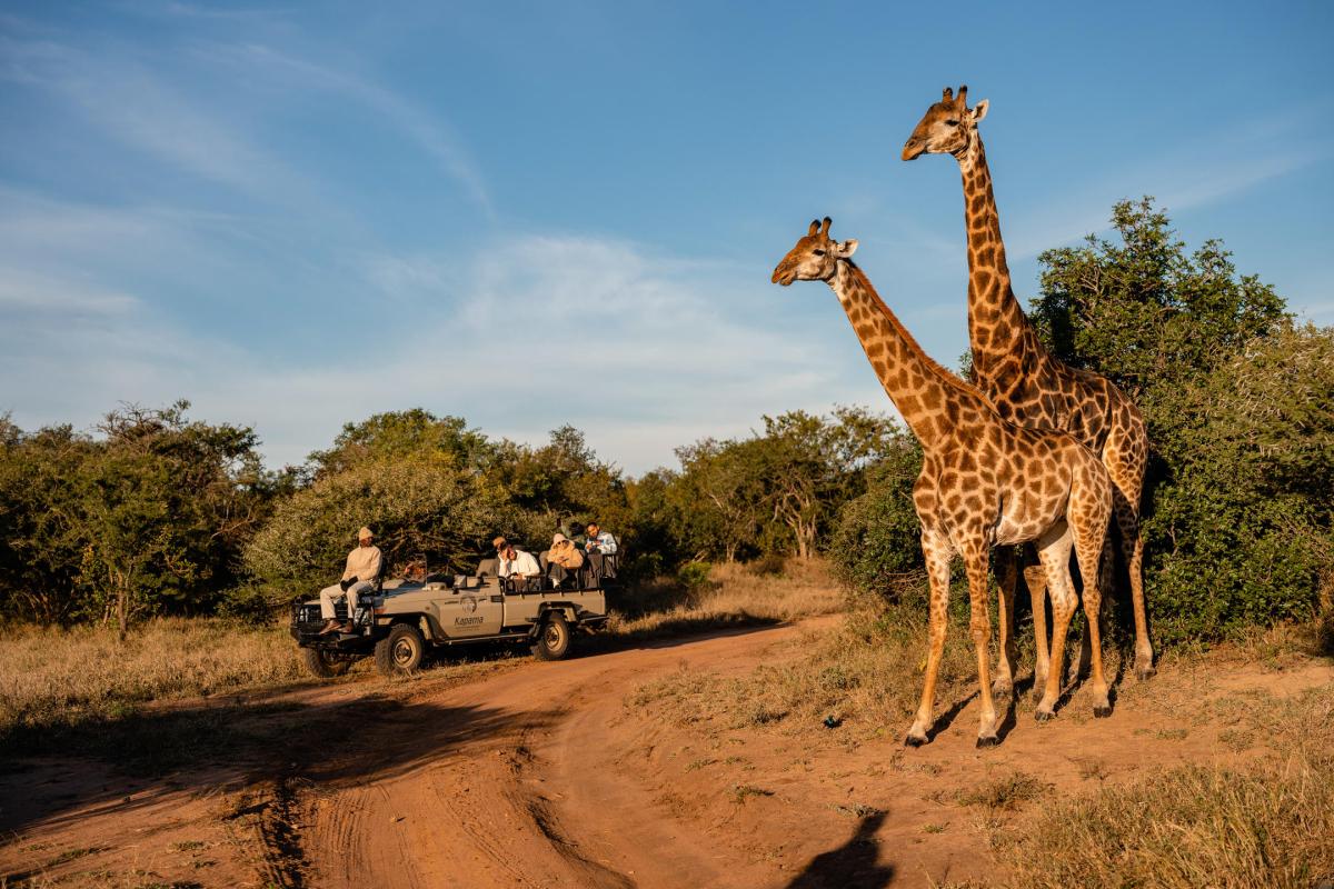 Cedarberg Travel | Kapama River Lodge