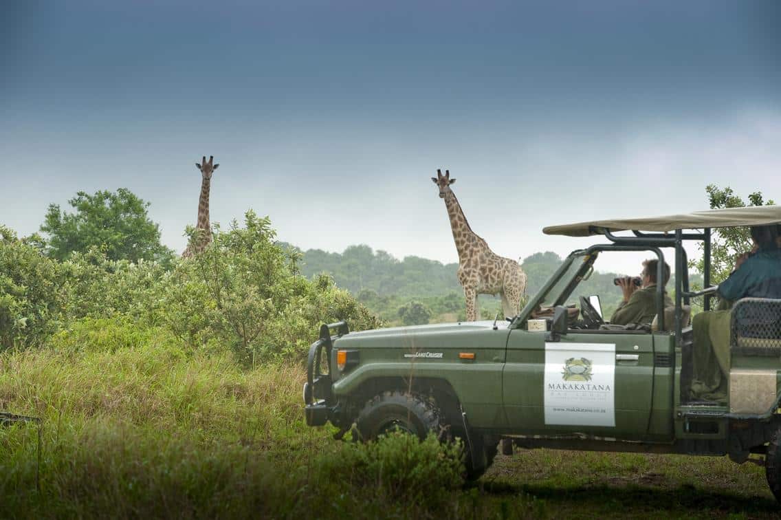 Makakatana-Bay-Lodge-game-drive-new