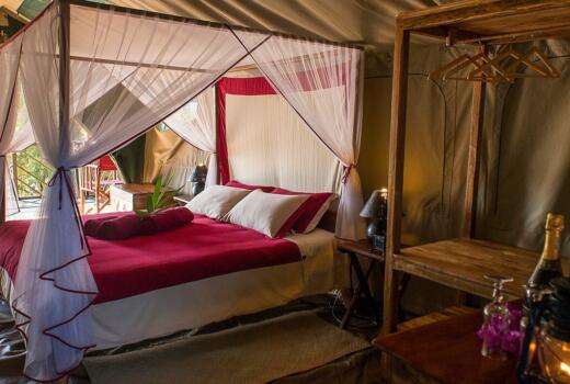 Tents