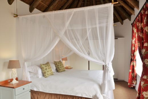 Opstal Otter Suites