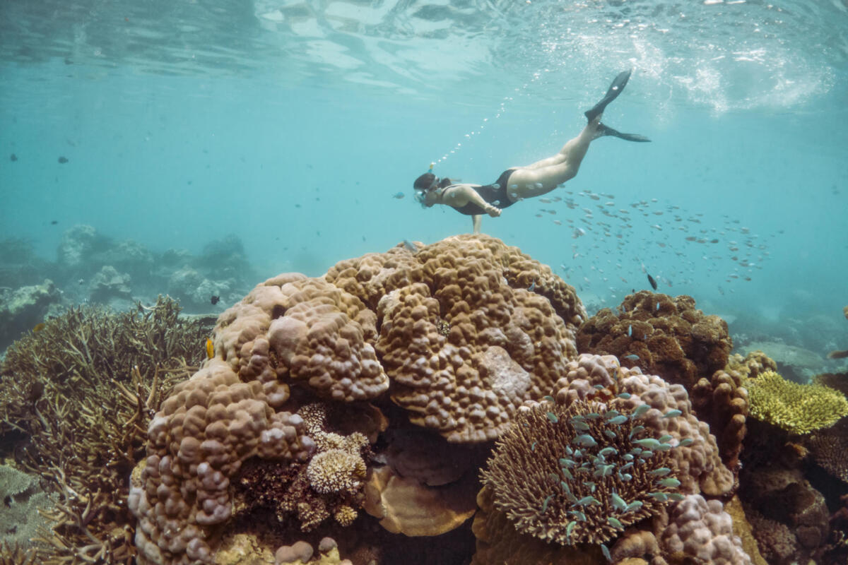 Cedarberg Travel | Time + Tide Tsara Komba