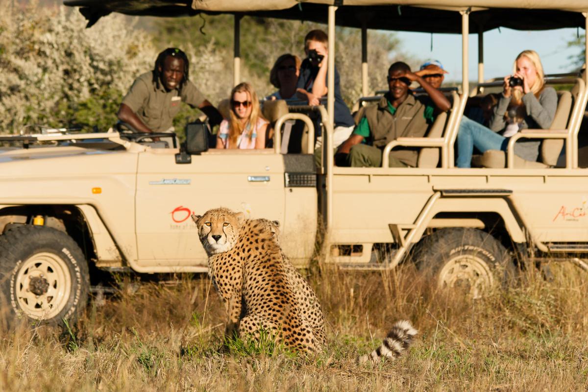Cedarberg Travel | Okonjima Luxury Bush Lodge
