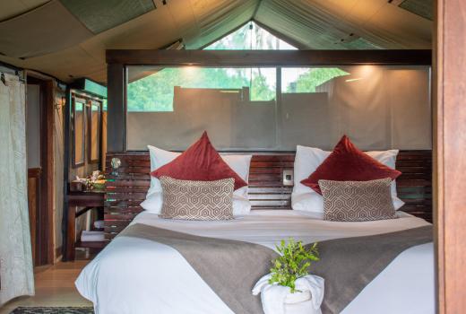 Family Tent