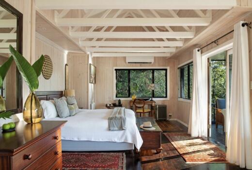 Forest Suite
