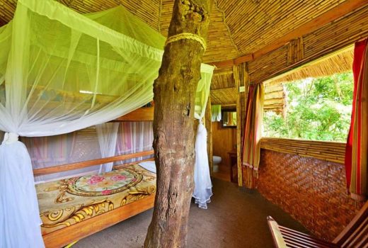 Sky Tree House
