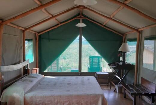 Standard Bungalow