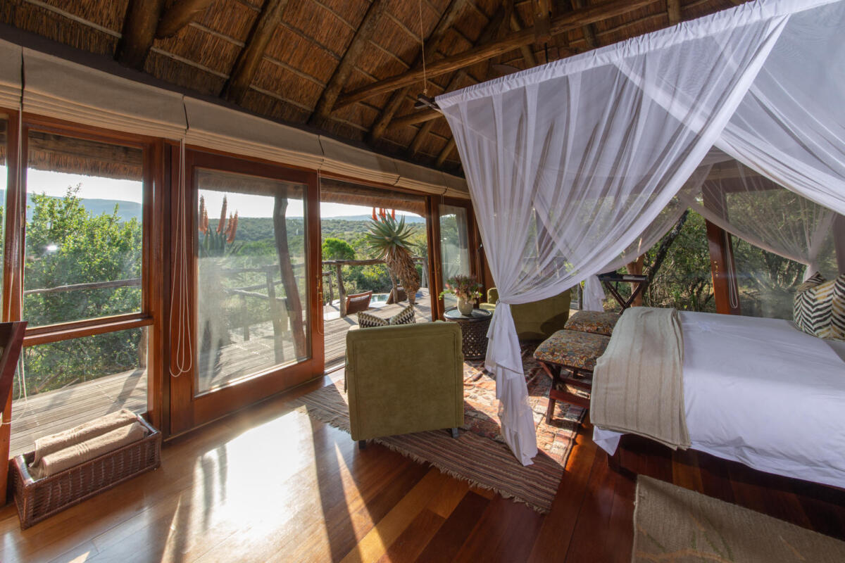Cedarberg Travel | Pumba Msenge Bush Lodge