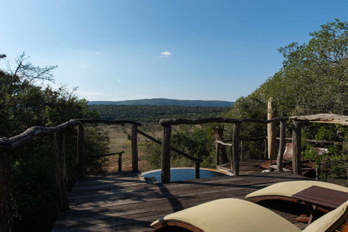 Cedarberg Travel | Pumba Msenge Bush Lodge