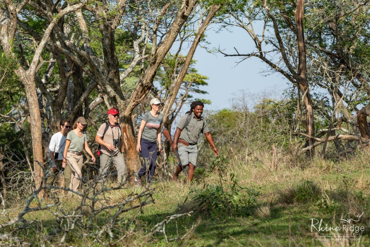 Cedarberg Travel | Rhino Ridge Safari Lodge