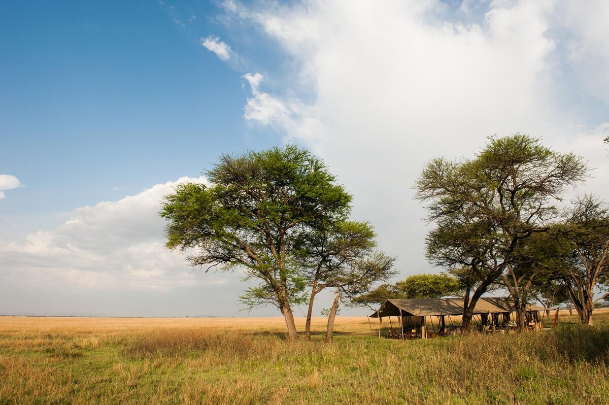 Cedarberg Travel | Serengeti Safari Camp