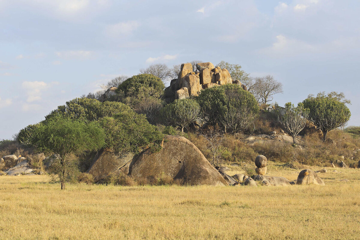 Cedarberg Travel | Dunia Camp