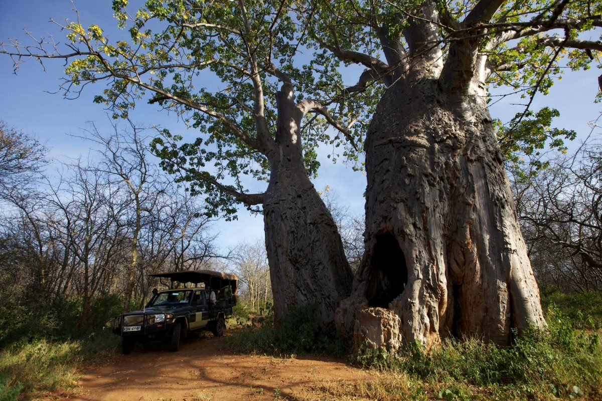 Cedarberg Travel | Elsa's Kopje Meru