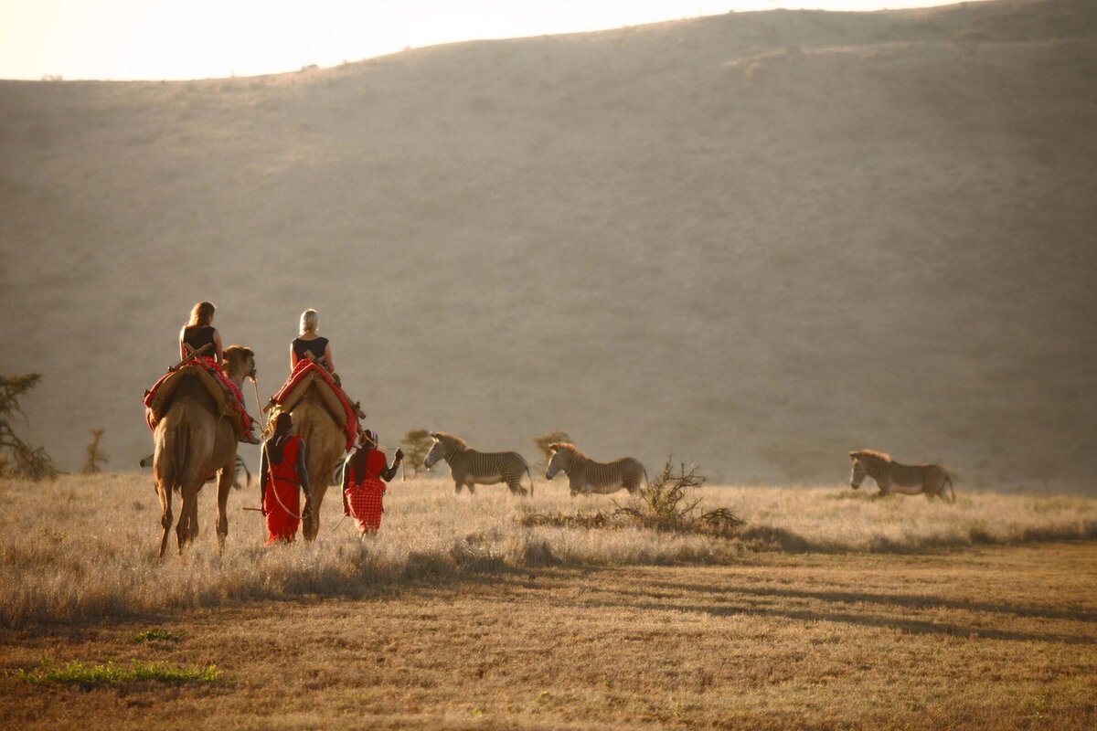 Cedarberg Travel | Elewana Lewa Safari Camp