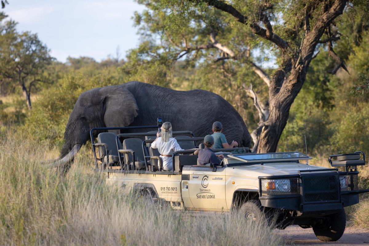 Cedarberg Travel | Tintswalo Safari Lodge