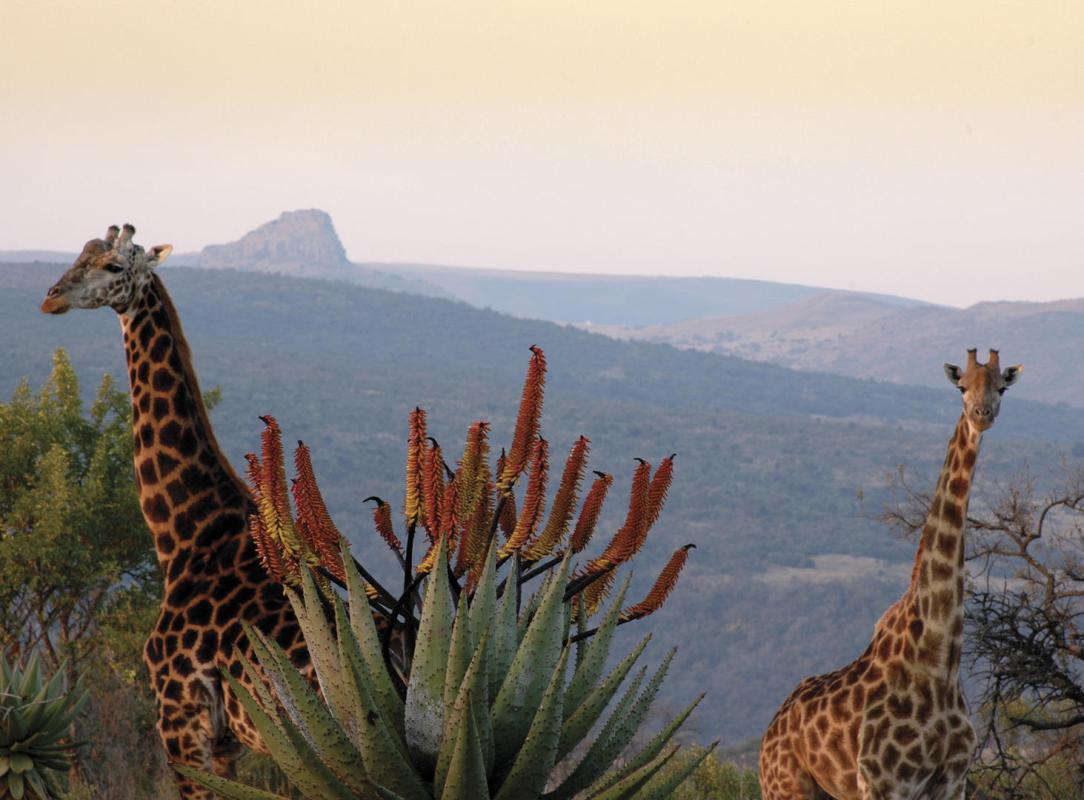 Cedarberg Travel | Fugitives' Drift Lodge