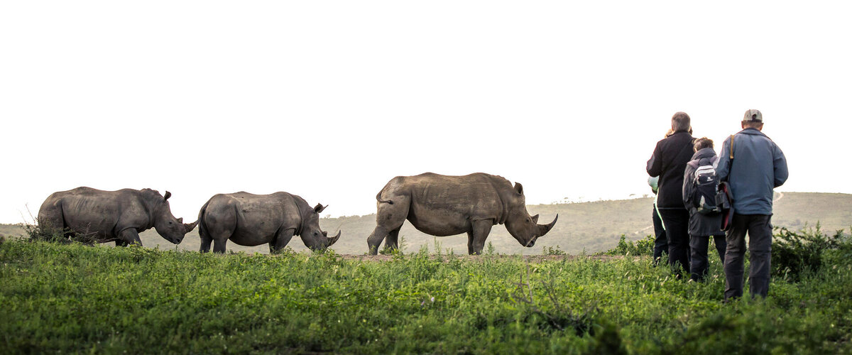 Cedarberg Travel | Rhino Ridge Safari Lodge