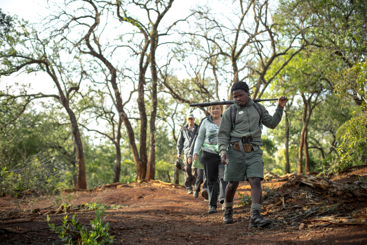 Cedarberg Travel | Rhino Ridge Safari Lodge