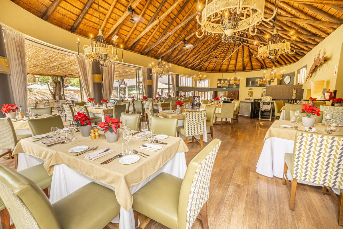 Cedarberg Travel | Ivory Tree Game Lodge