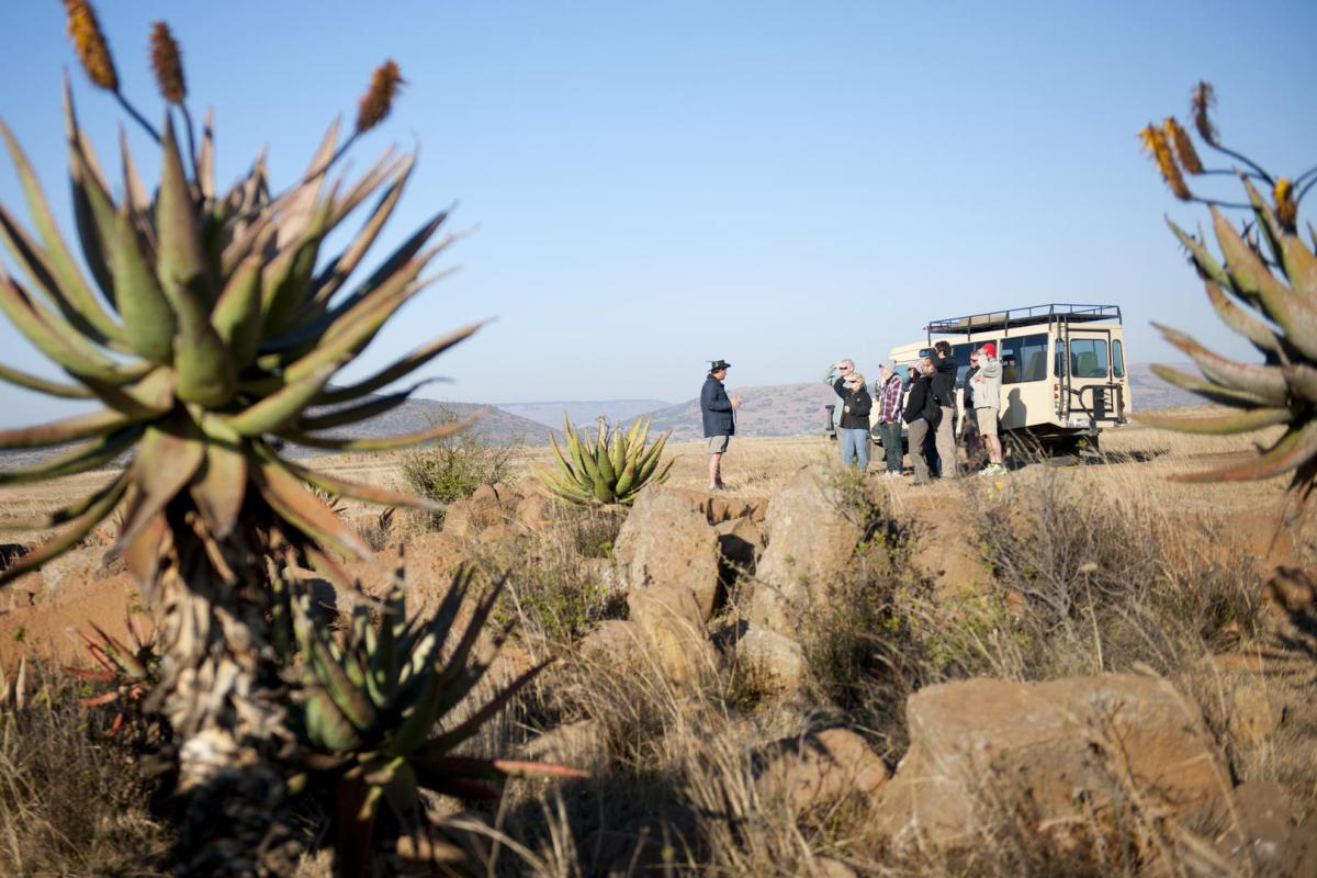 Cedarberg Travel | Fugitives' Drift Lodge