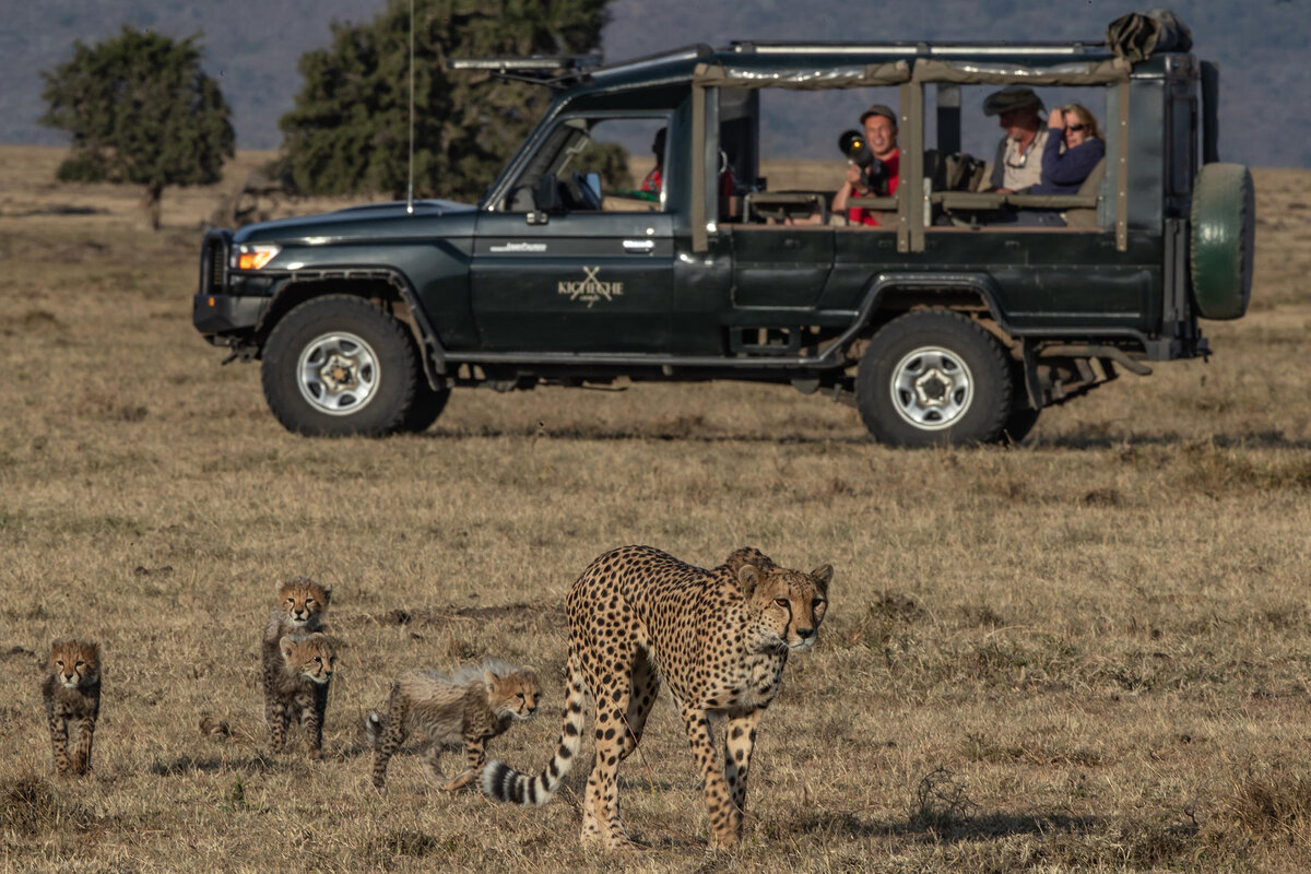 Cedarberg Travel | Kicheche Mara Camp