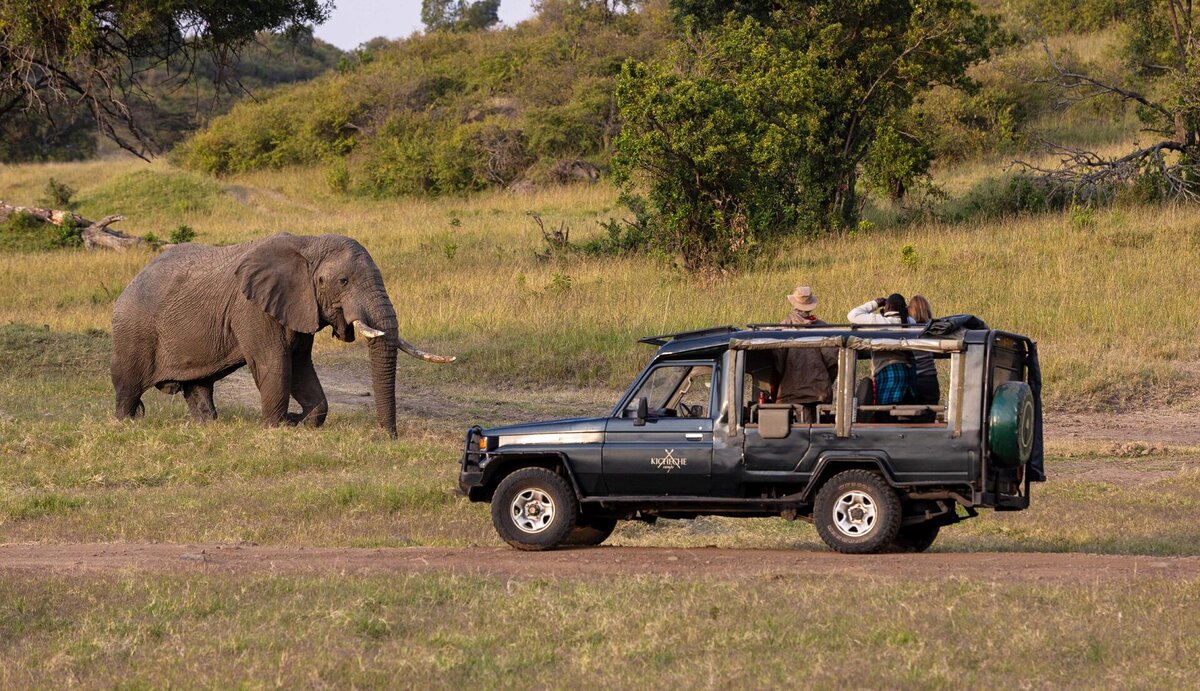 Cedarberg Travel | Kicheche Mara Camp