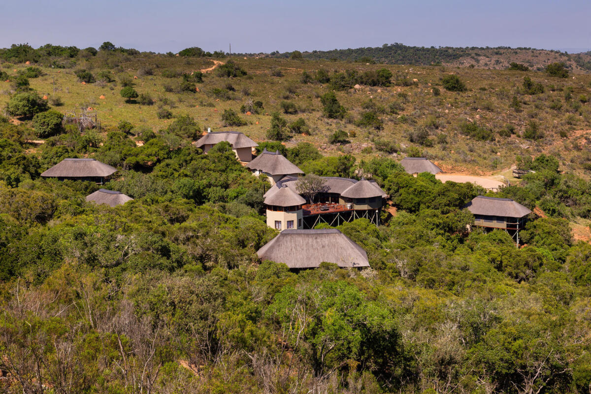 Cedarberg Travel | Lalibela Tree Tops Tented Camp