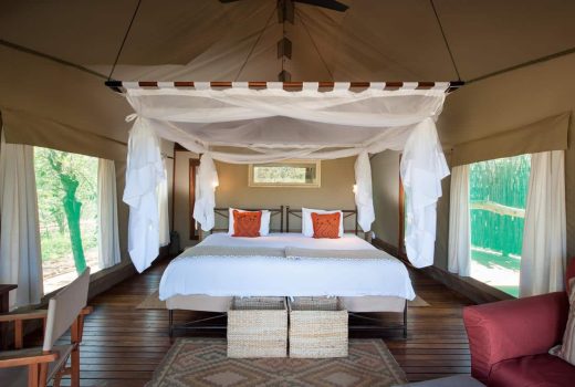 Standard Tent(s)