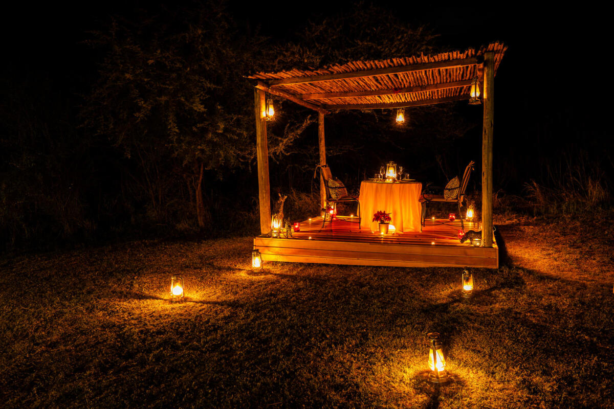 Cedarberg Travel | Ivory Tree Game Lodge