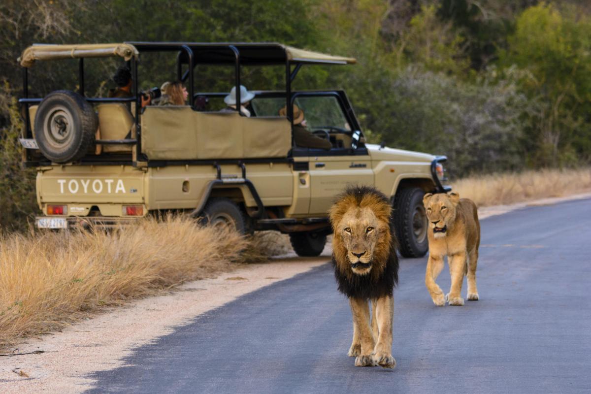 Cedarberg Travel | Rhino Post Safari Lodge