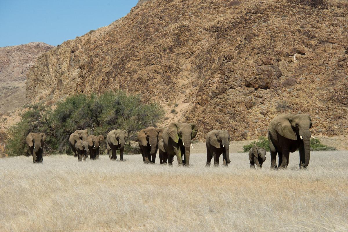 Cedarberg Travel | Wilderness Doro Nawas