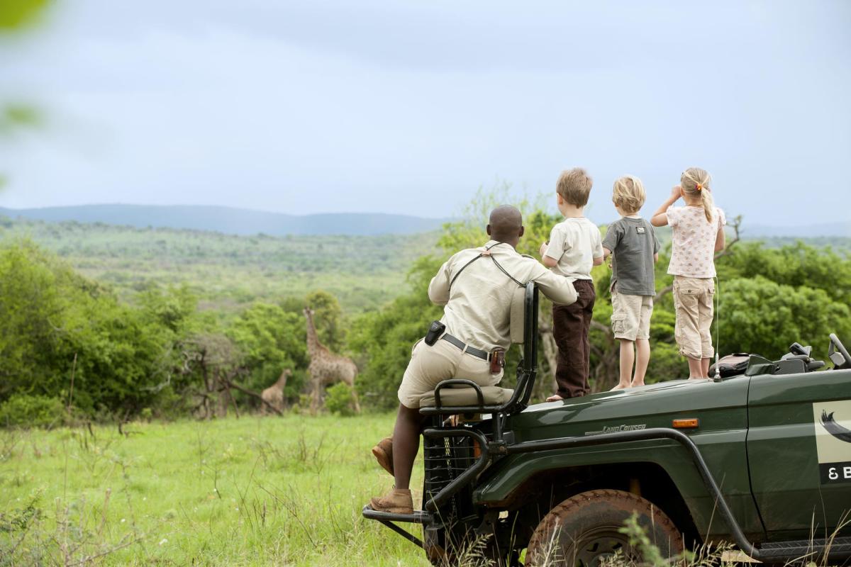 Cedarberg Travel | andBeyond Phinda Forest Lodge