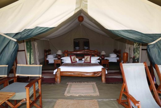 Tents