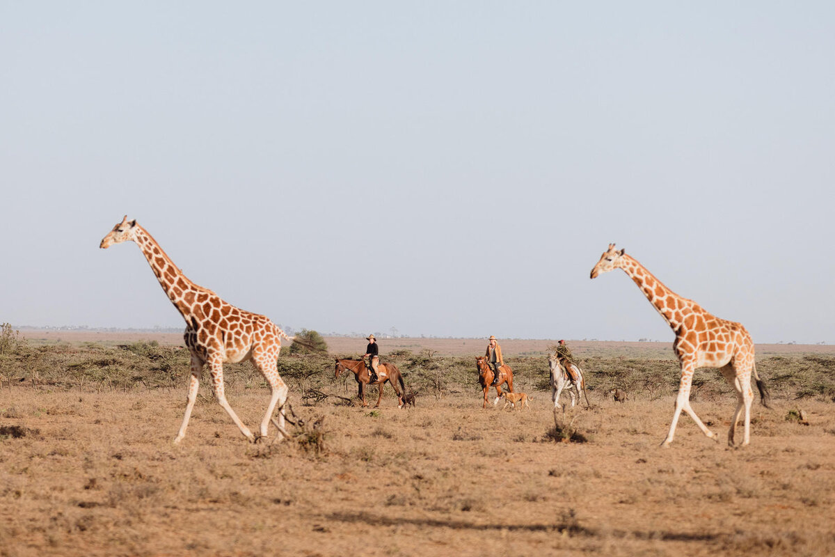 Cedarberg Travel | Ol Malo Lodge