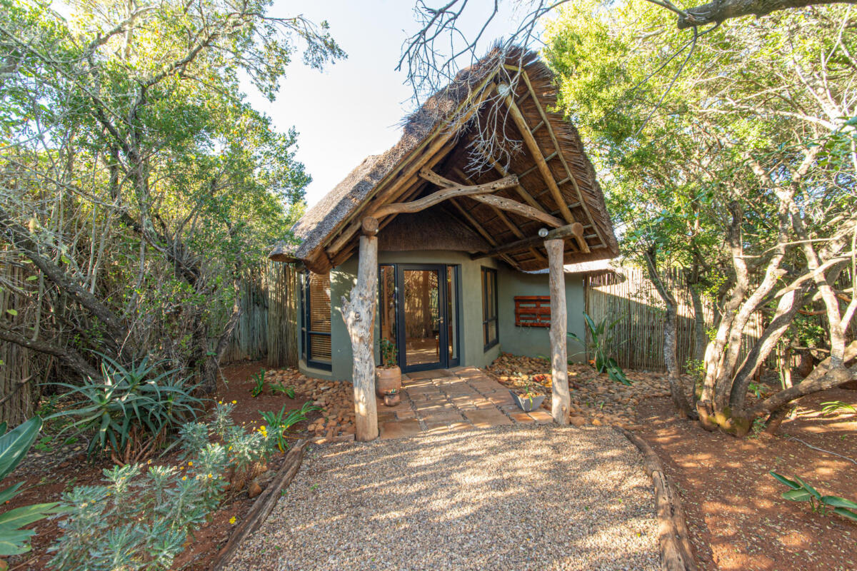 Cedarberg Travel | Pumba Msenge Bush Lodge