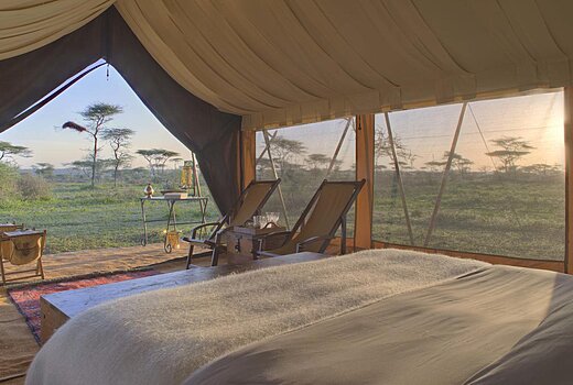 Tent(s)