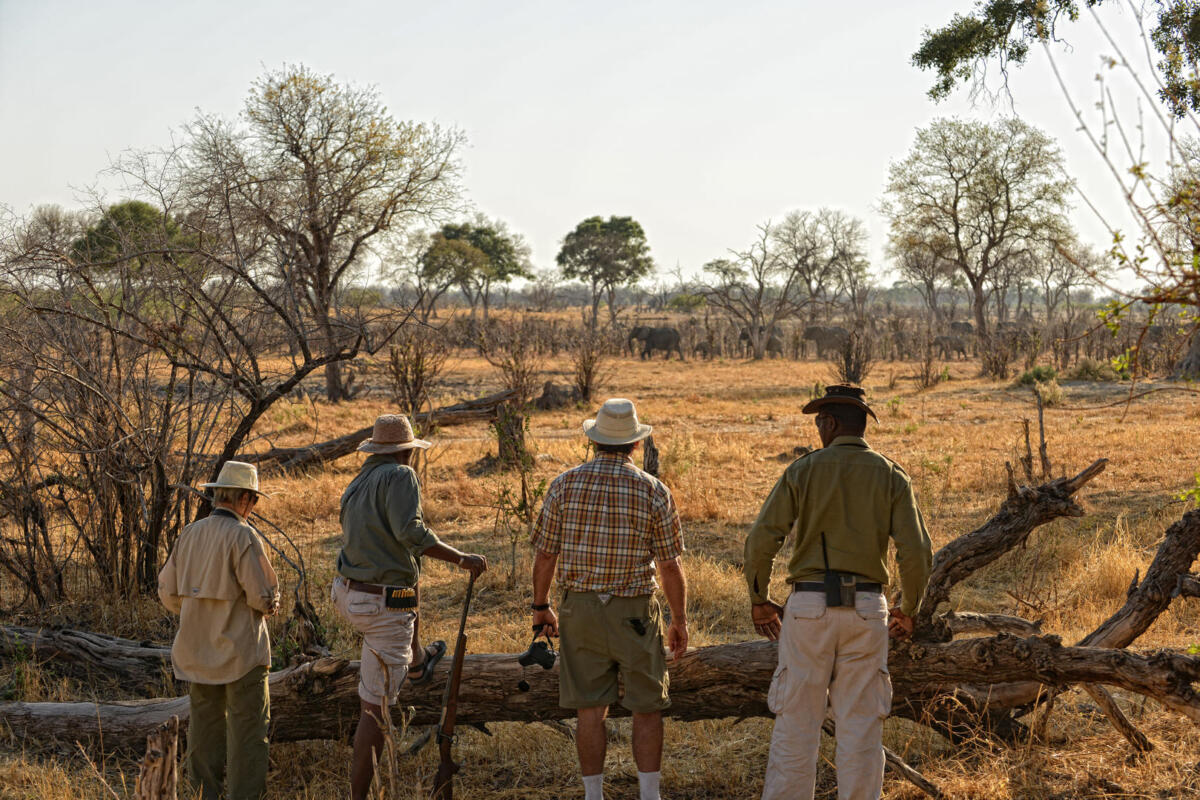 Cedarberg Travel | Linyanti Ebony Camp