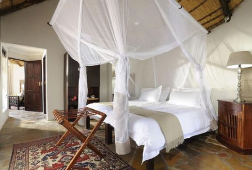 Bush Suite