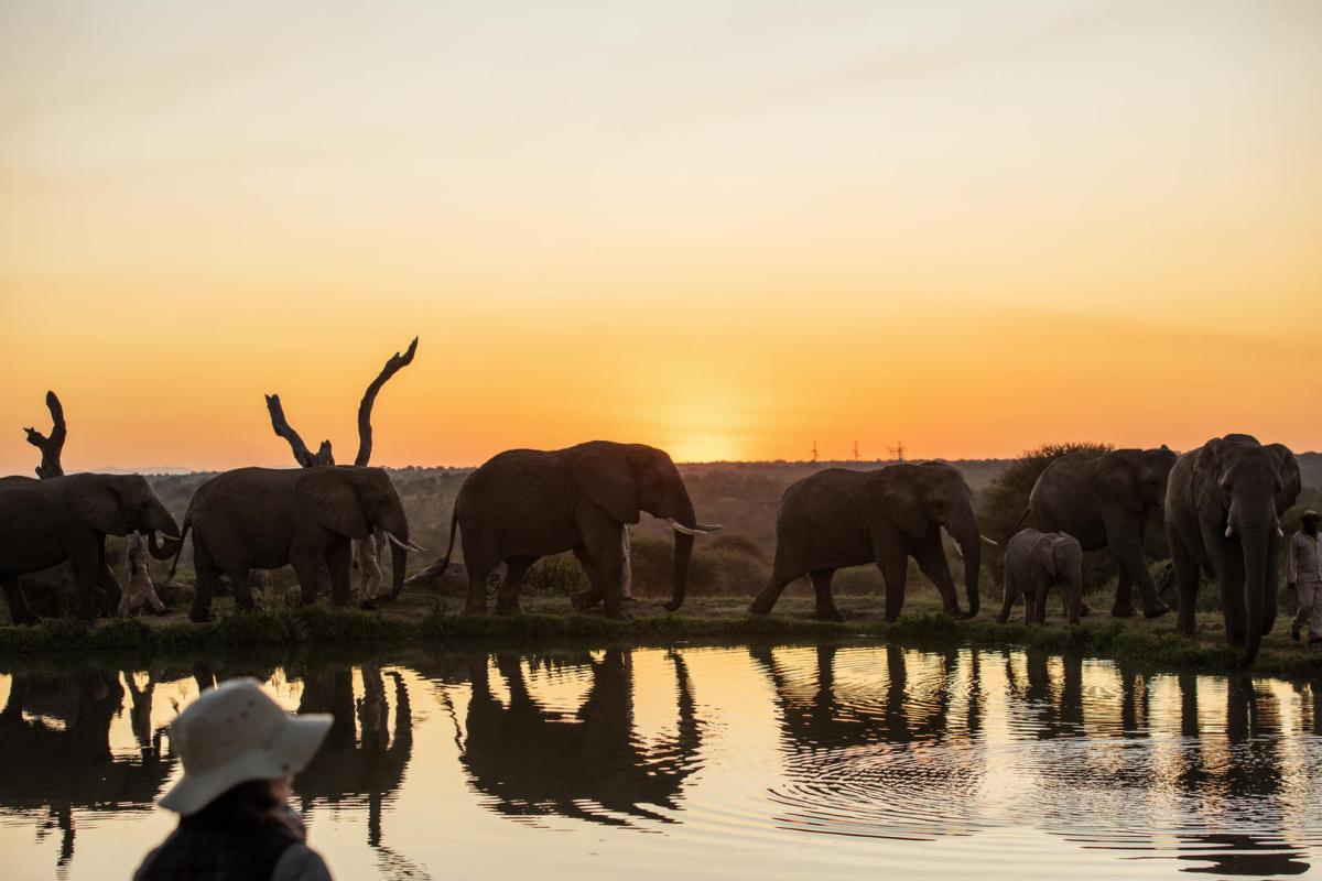 Cedarberg Travel | Jabulani Safari